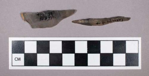 Chipped stone, retouched blade fragments