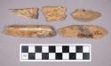 Faunal remains, bone fragments