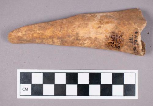 Faunal remains, bone fragment