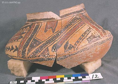 Sherds of jar--restorable. San Bernardino polychrome