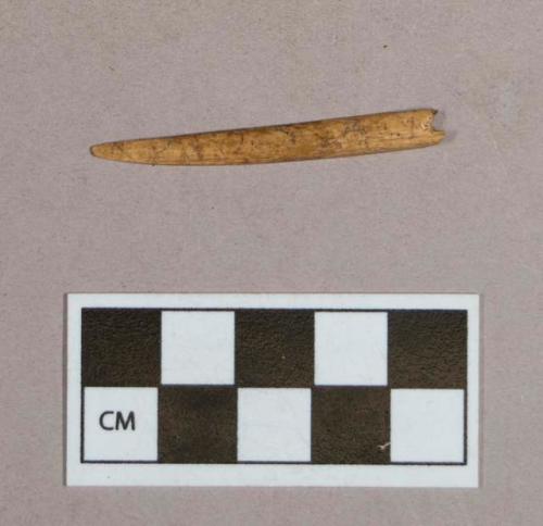 Organic, worked animal bone perforator fragment, one perforation