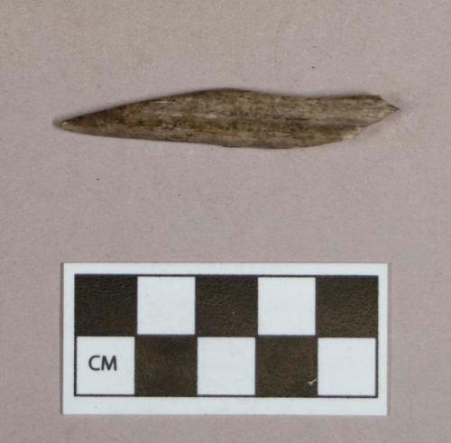 Organic, worked animal bone perforator fragment