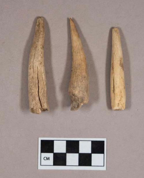 Organic, worked antler tine fragments