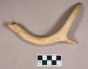 Organic, worked antler fragment