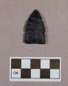 Chipped stone, projectile point, triangular