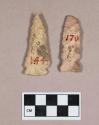 Chipped stone, projectile points, side-notched and corner-notched