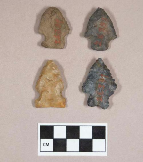 Chipped stone, projectile points, side-notched and corner-notched