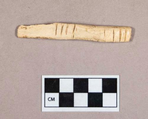 Organic, worked animal bone, rib fragment, incised