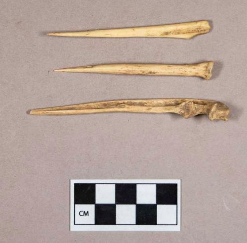 Organic, worked animal bone awl and awl fragments