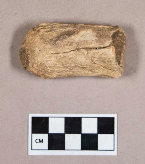 Organic, worked antler fragment, hollowed at one end