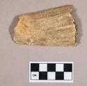 Organic, worked antler object fragment, flat