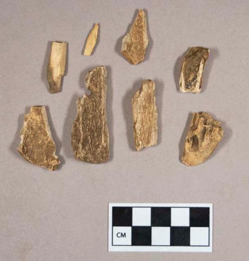 Organic, faunal remains, utilized bone fragments, some are perforated, one is incised