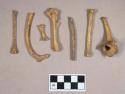 Animal bone fragments, including vertebra, rib, and long bones