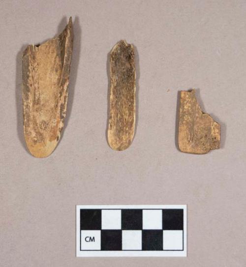 Organic, faunal remains, utilized bone fragments