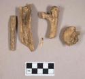 Organic, faunal remains, bone fragments