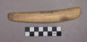 Organic, utilized antler, gouge-shaped with sharpened blade