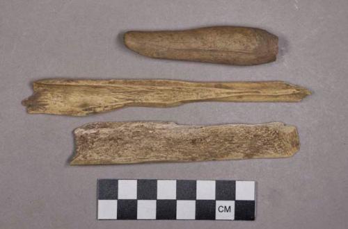 Organic, utilized bone and antler, cut bone fragment, sharpened antler fragment, and cut flaker