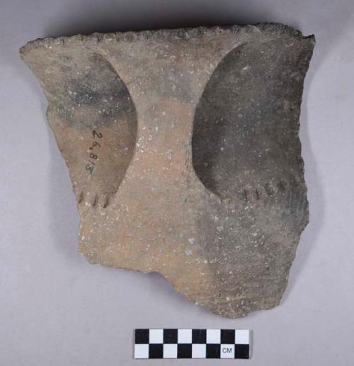 Ceramic, earthenware rim sherds, shell-tempered, strap handle, punctate, incised, and cord-impressed