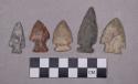 Chipped stone, projectile points, corner-notched, side-notched, and stemmed