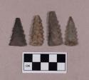 Chipped stone, projectile points, serrated