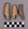 Organic, utilized antler, cut fragments