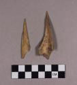 Organic, bone perforator fragments