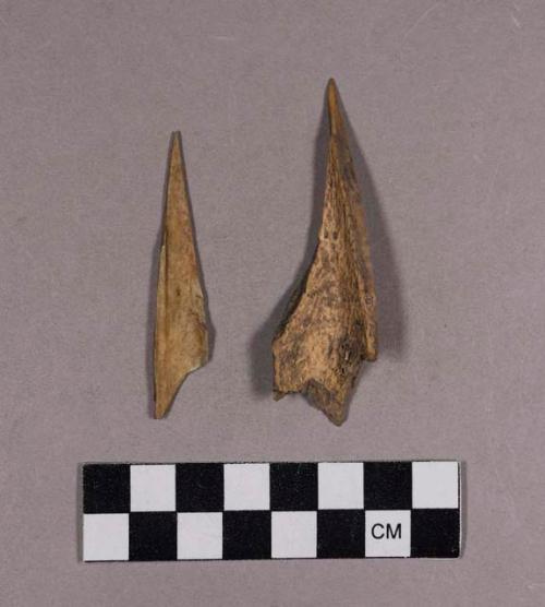 Organic, bone perforator fragments