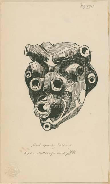 Illustration XVII, Mask representing Xoaexoe, from Frans Boas' report: "The Exhibits from the North Pacific Coast"