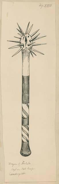 Illustration XVIII, Weapon of Aiulola, from Frans Boas' report: "The Exhibits from the North Pacific Coast"