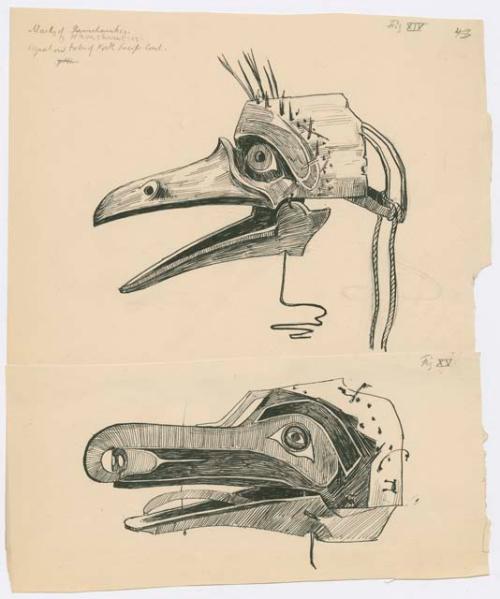 Illustration XIV and XV from Franz Boas' report: "The Exhibits from the North Pacific Coast"