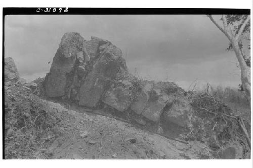 Part of fallen arch