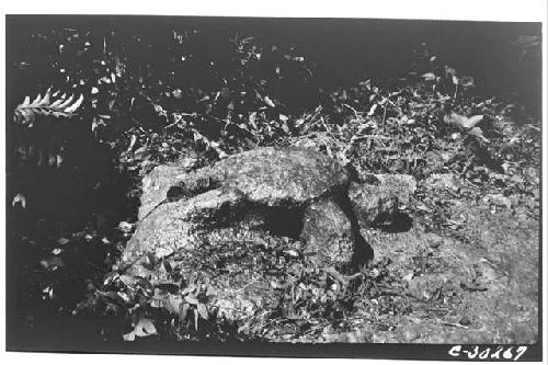 Turtle figure of limestone carved on ledge of rock 1/2 kilometer W. of High Prie