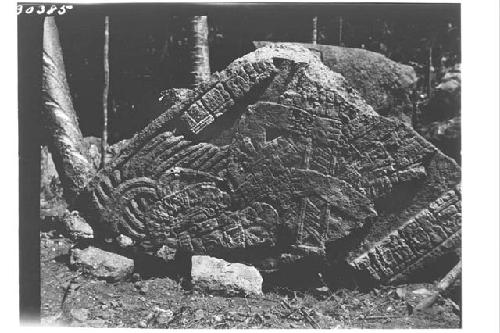 Stela 20. Upper section.