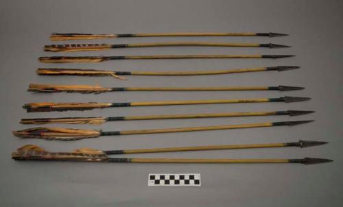 Arrows, wood shaft; traingular metal point, black, white & yellow feathers, pigm