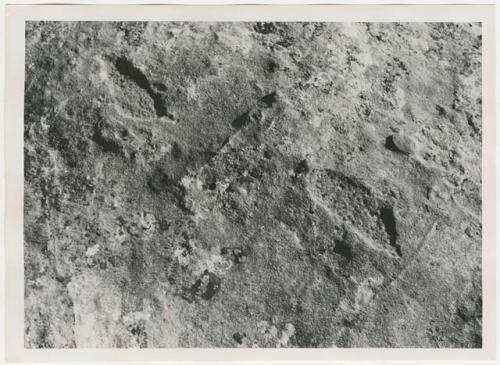 Petroglyph, possibly of birds