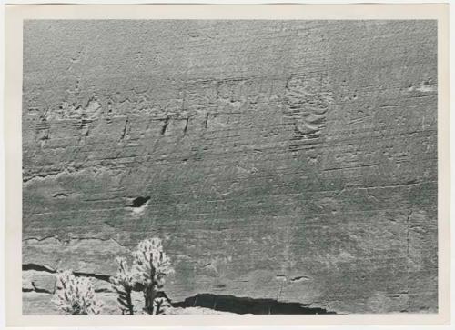 Wide view of canyon wall with petroglyphs of humans, animals, birds