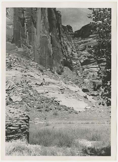 Canyon walls from valley floor