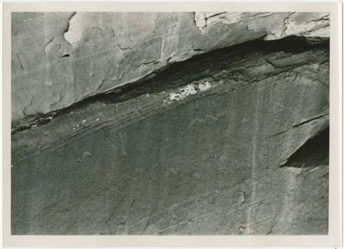 Lightly pecked petroglyph of human figure, snake, and bird