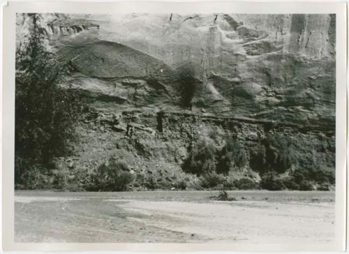 Shrubbery at base of cliff