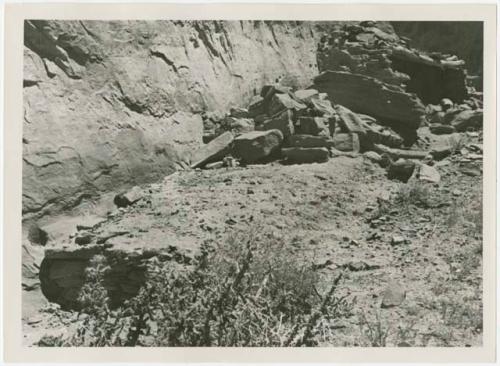 Flora and stones at base of wall