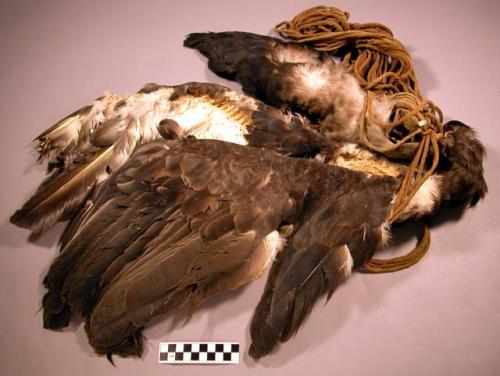 Necklaces or bandoleers with feathers attached