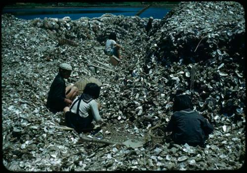 Stringing oyster shells