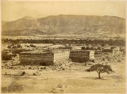 Ruins of a Palace