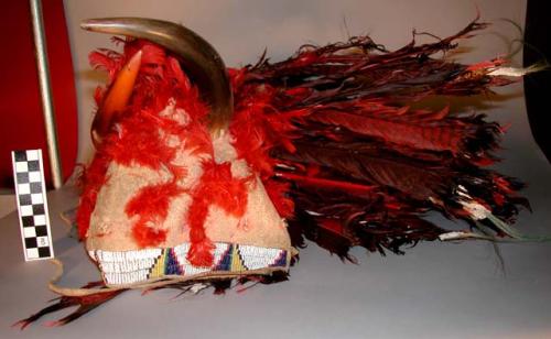 Feathered headdress, trimmed with beads, two cow horns, wool, and dyed feathers