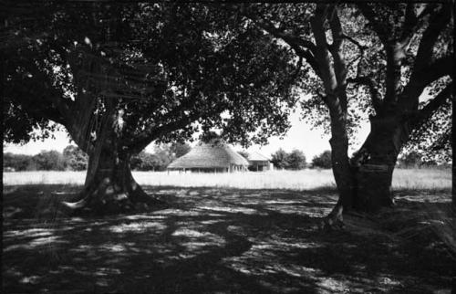 Trees, huts in distance