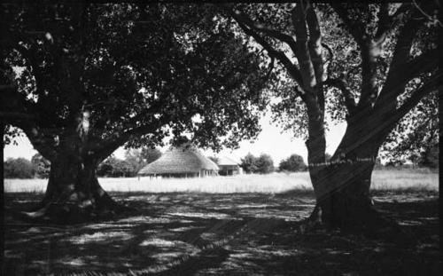 Trees, huts in distance