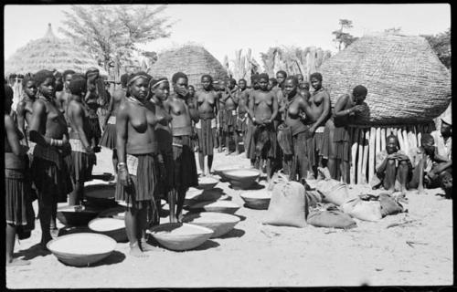 Group of people working with baskets of grain, with dogs next to them