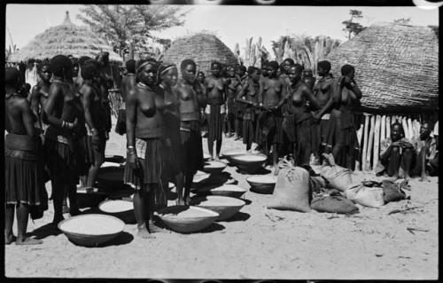 Group of people working with baskets of grain, with dogs next to them