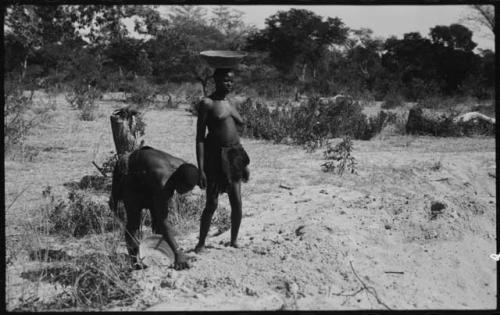 Two women gathering grain