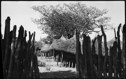 View of kraal from outside fence